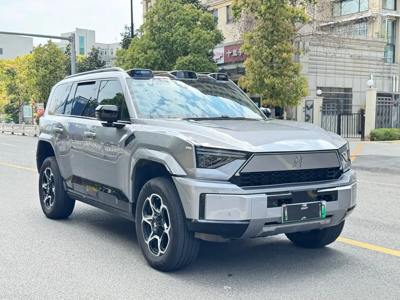 2025 Mengshi M817