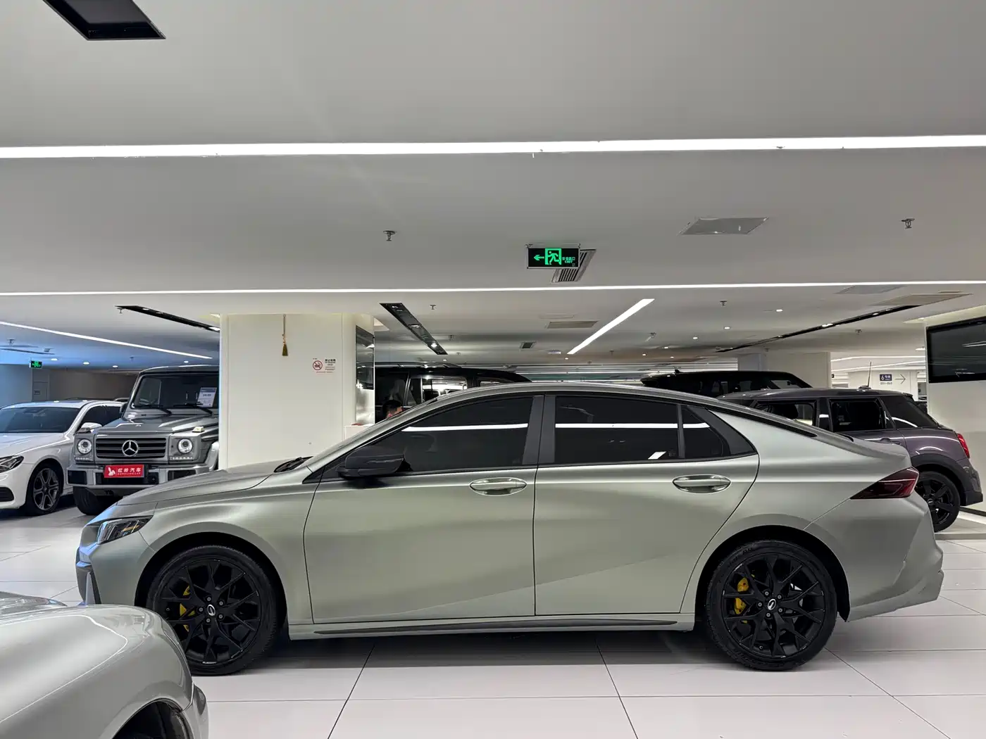 GAC SHADOW LEOPARD