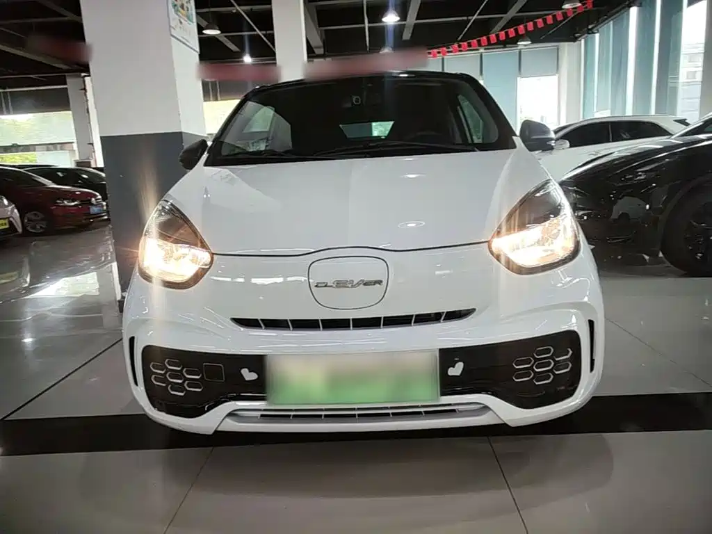 Roewe Kaiwei CLEVER 2024 2022 311km Vitality Bobo Edition