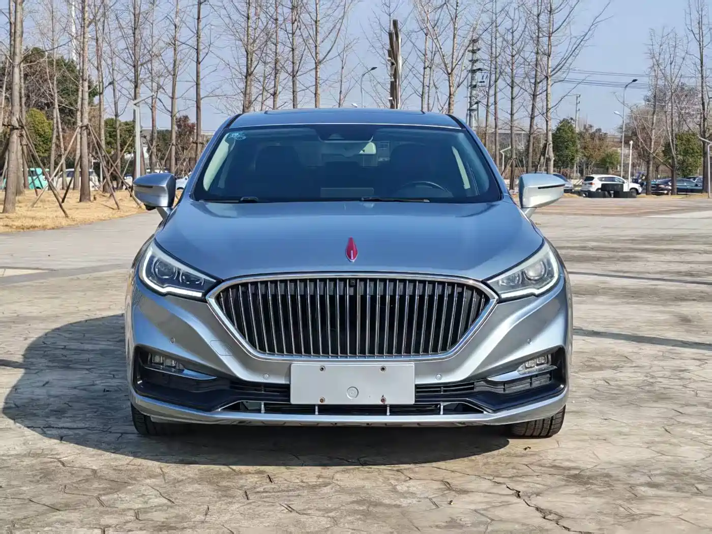 Hongqi H5 2018 30TD Smart Connected Royal Edition фото 2