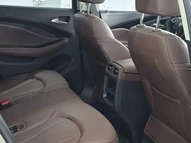Buick Envision Plus 2018 20T 2WD Luxury фото 7