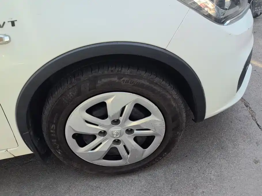 Фото 6 - Baojun 310W