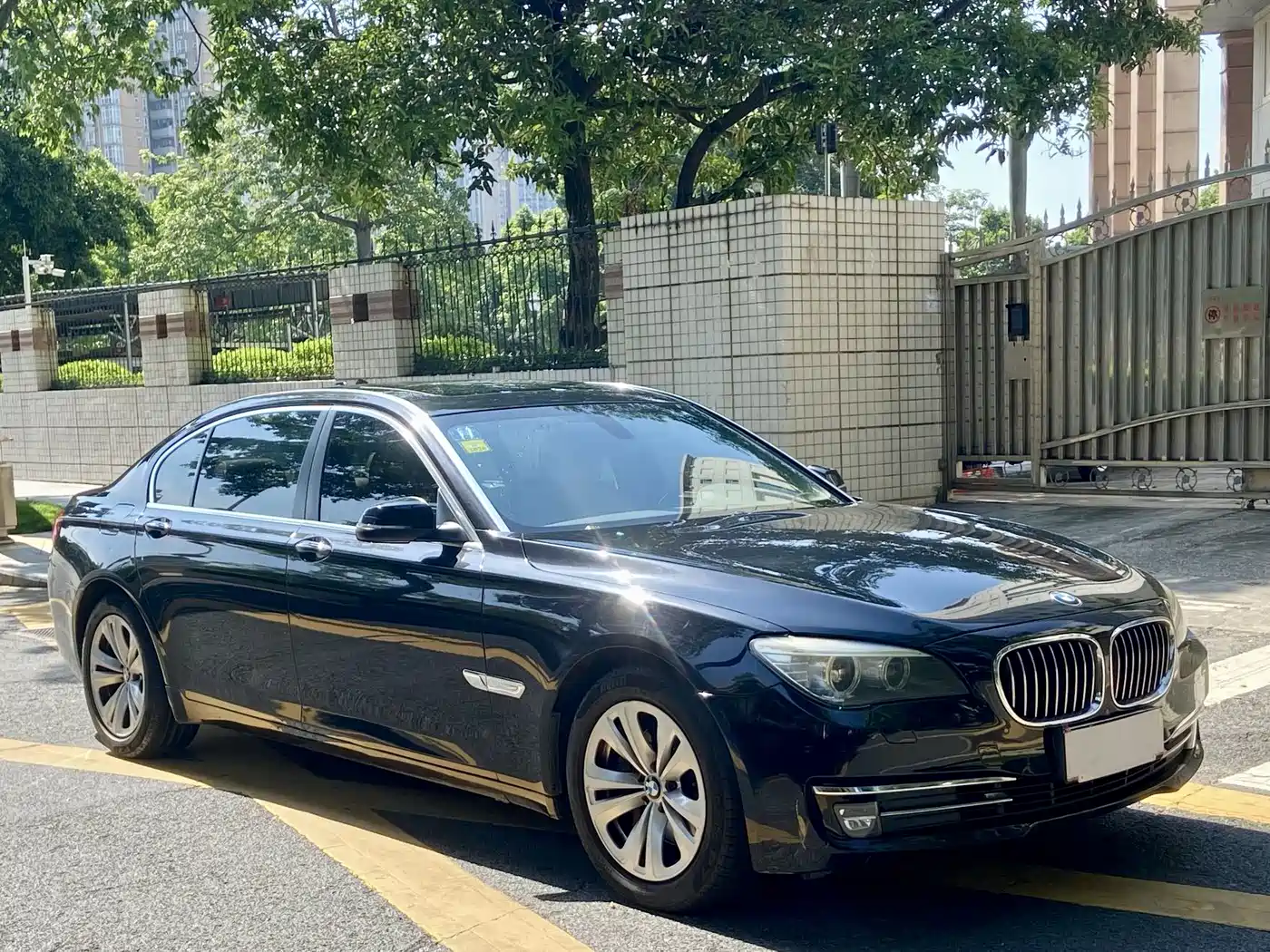 BMW 7 Series 2013 Model 730Li Leading фото 3