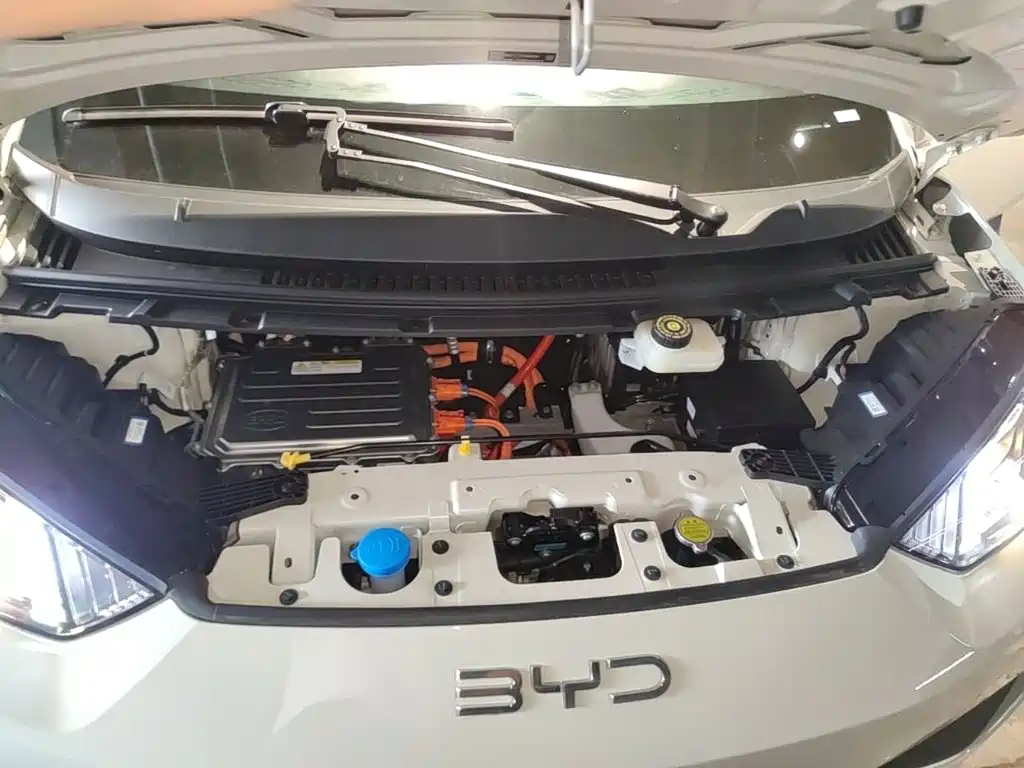 BYD Seagull 2026 2025 305km Vitality