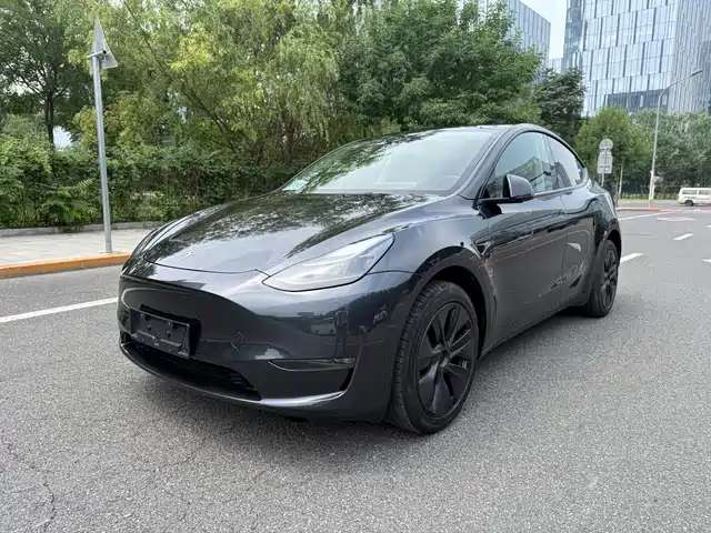 Tesla Model Y Увеличенный запас хода, полный привод