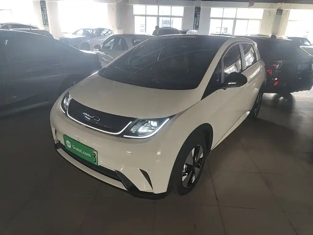 Фото 2 - BYD Dolphin