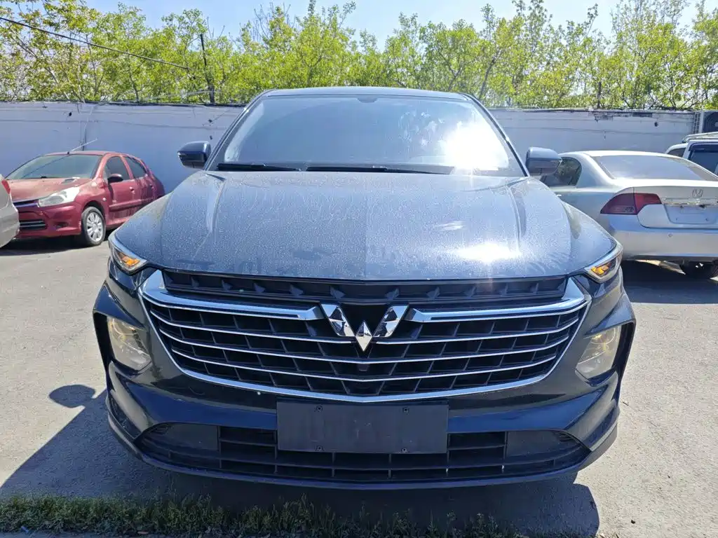Wuling Motors Wuling Victory 2021 2020 1.5T CVT Elite Edition