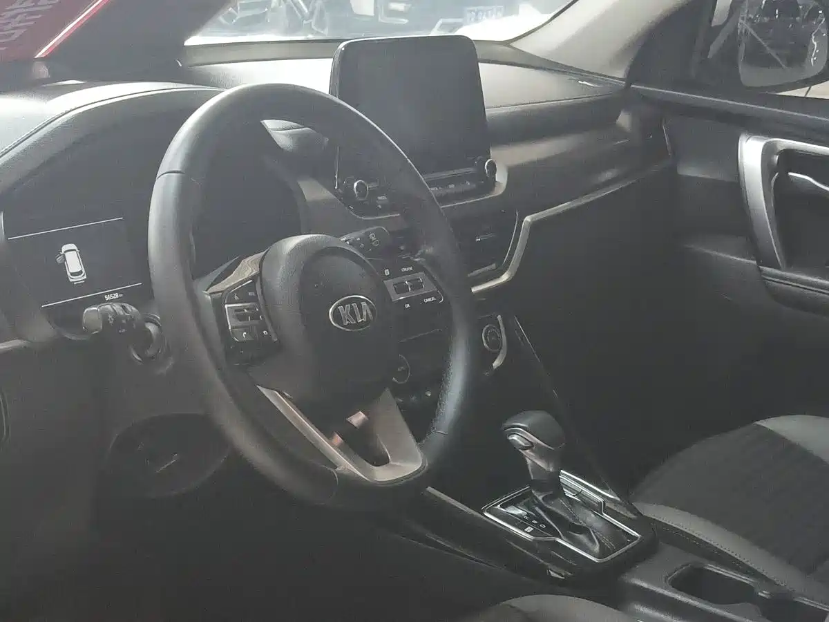 Kia Sportage 2019 2.0L Automatic Smart Luxury Edition фото 11