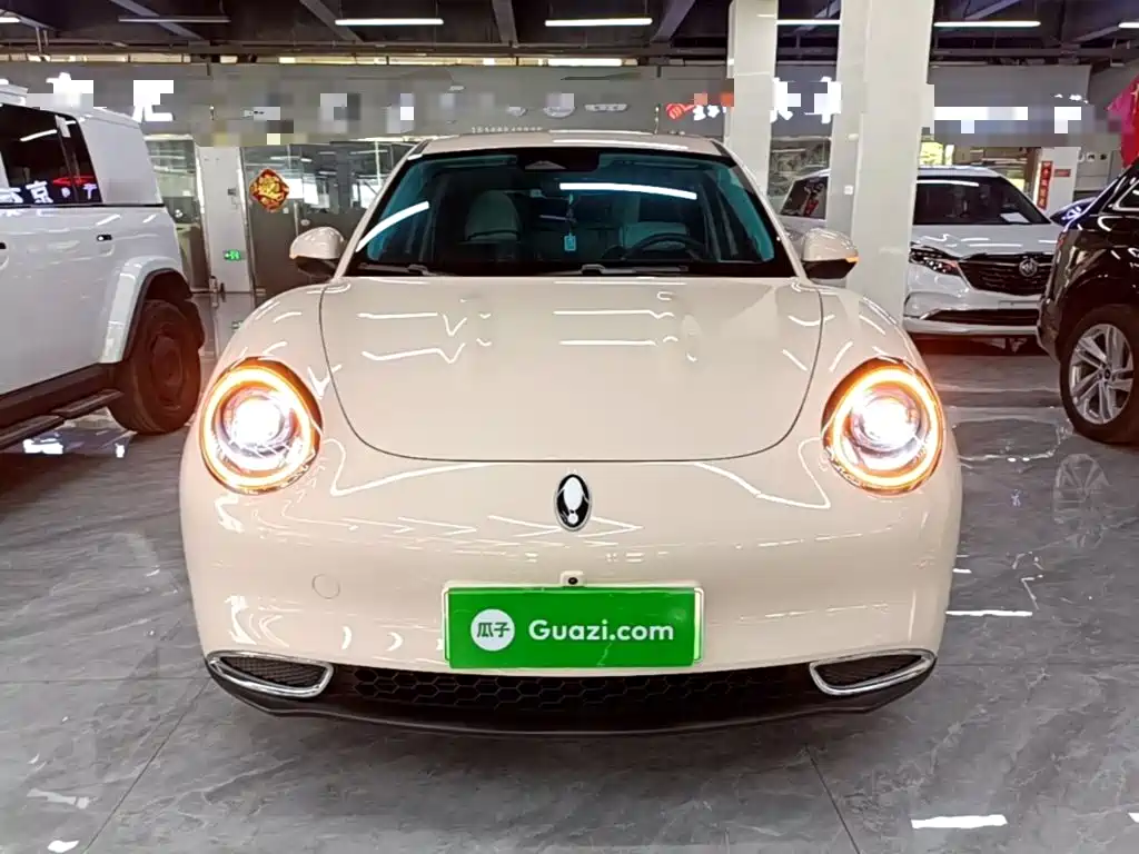 Ora Good Cat 2025 2024 401km Luxury