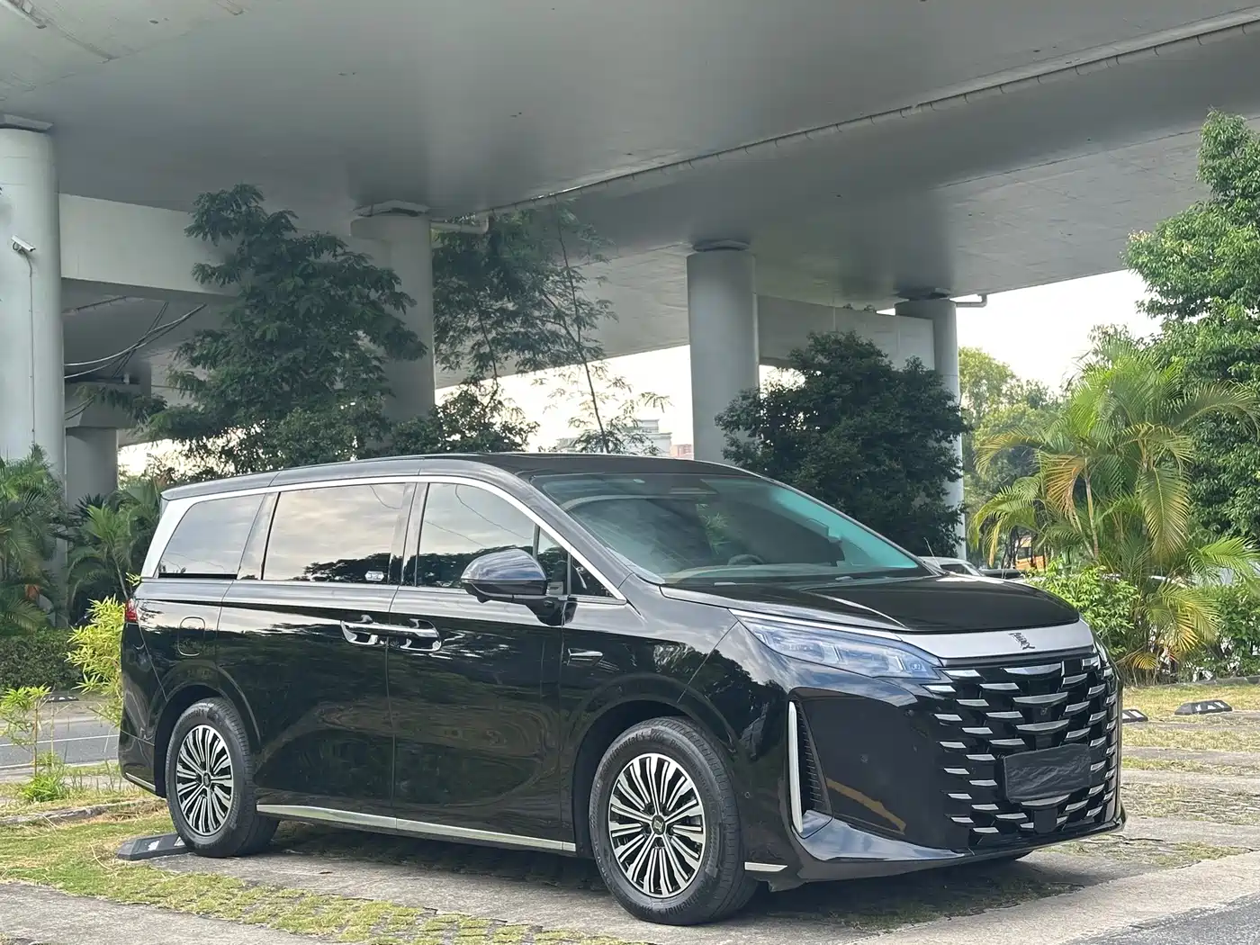 BYD Xia 2025 2025 DM-i 1.5T 180km Excellence
