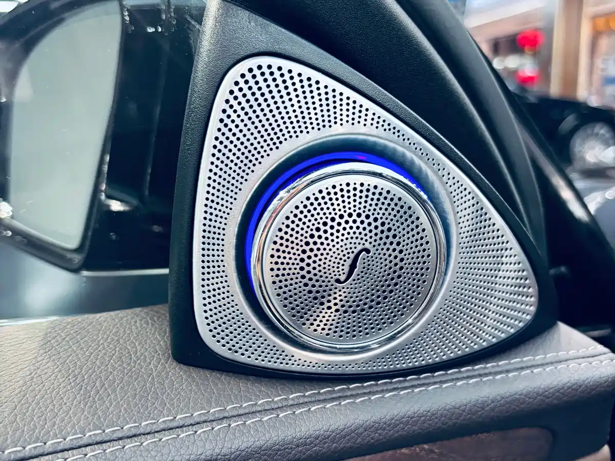 Mercedes-Benz E-Class 2020 E 300 L Luxury Model фото 13