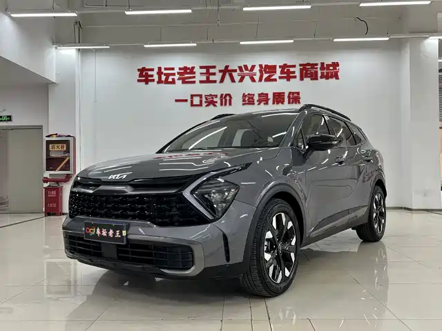 KIA LION PLATINUM EXPANDS THE WORLD