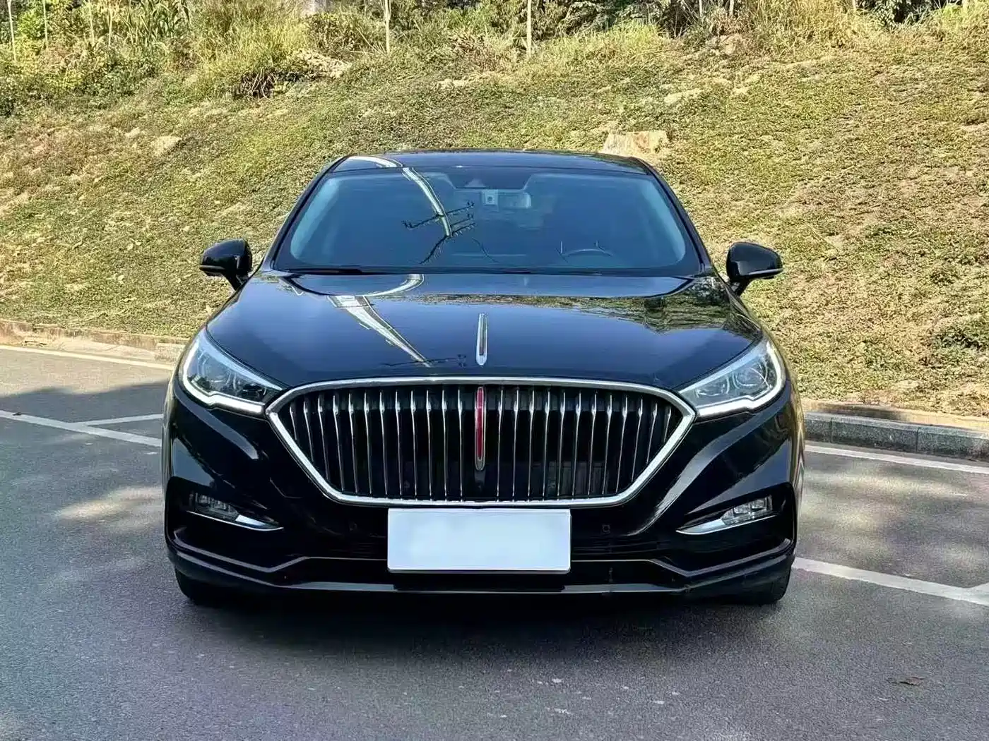 Hongqi HONGQI H5