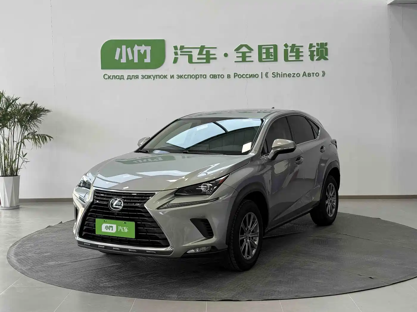LEXUS NX