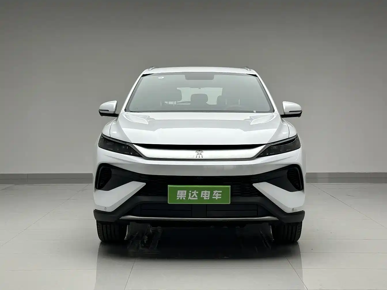 BYD SONGJIANG NEW ENERGY
