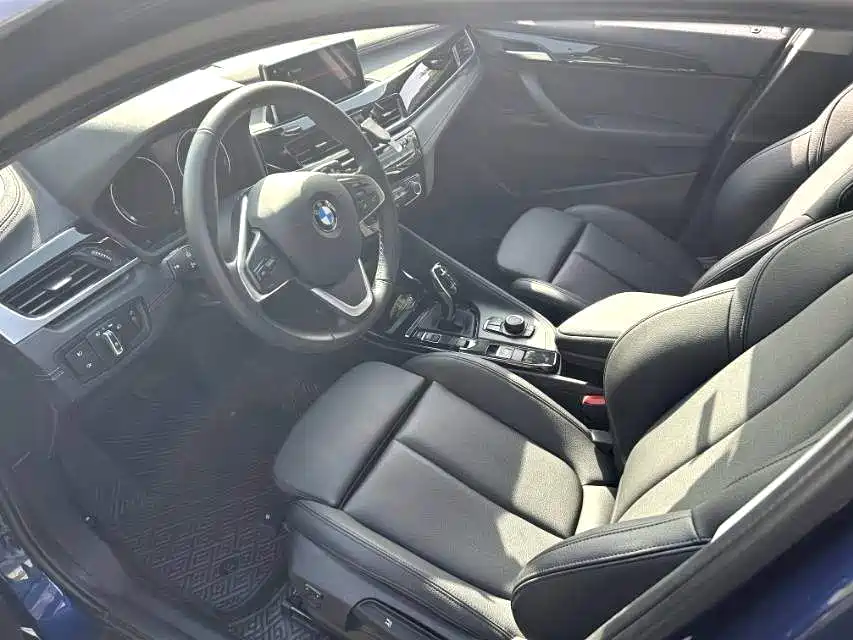 BMW X2 (Import) 2019 sDrive20i M Off-Road Package China VI фото 3