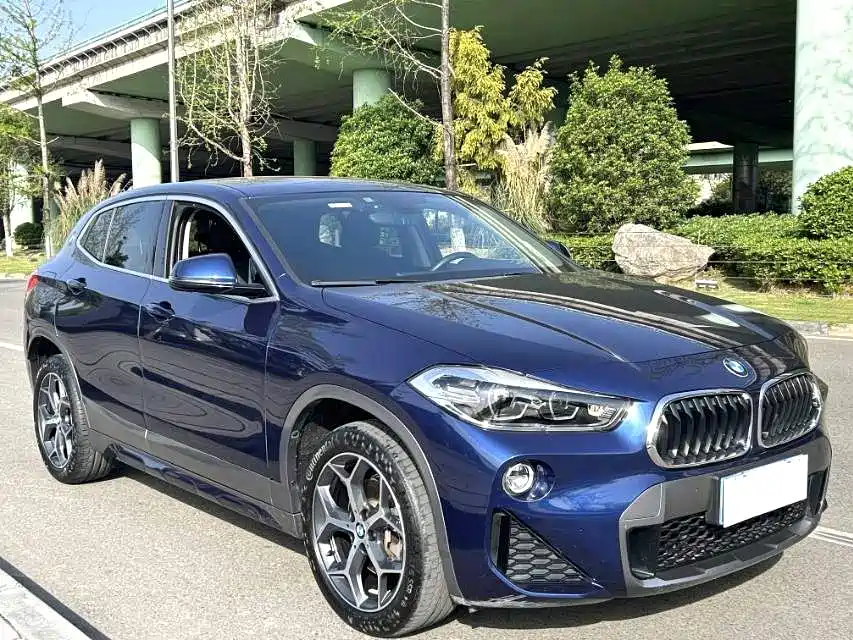 BMW X2 (Import) 2019 sDrive20i M Off-Road Package China VI фото 5