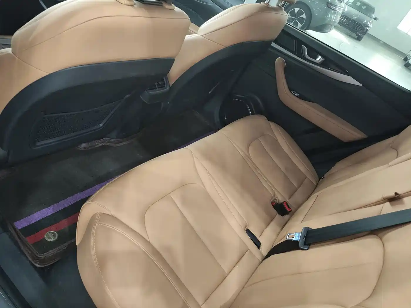 Weltmeister W6 2022 2021 520km ACE Ultimate Smart Edition