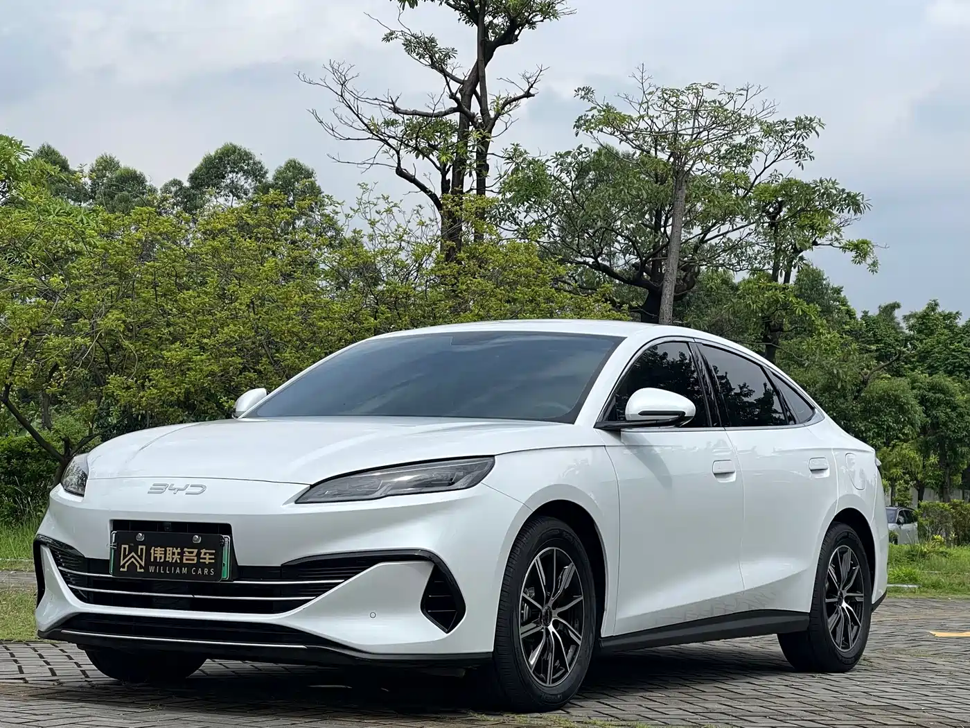 BYD Seal 06 New Energy 2024