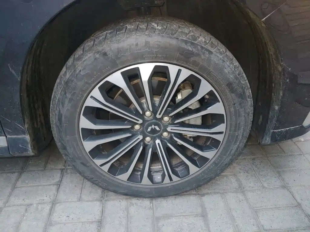 صورة 8 - Wuling Motors Wuling Victory