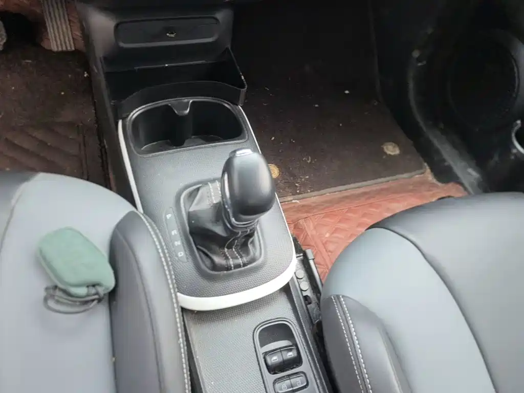 Roewe Kaiwei CLEVER 2023 2022 311km Vitality Bobo Edition