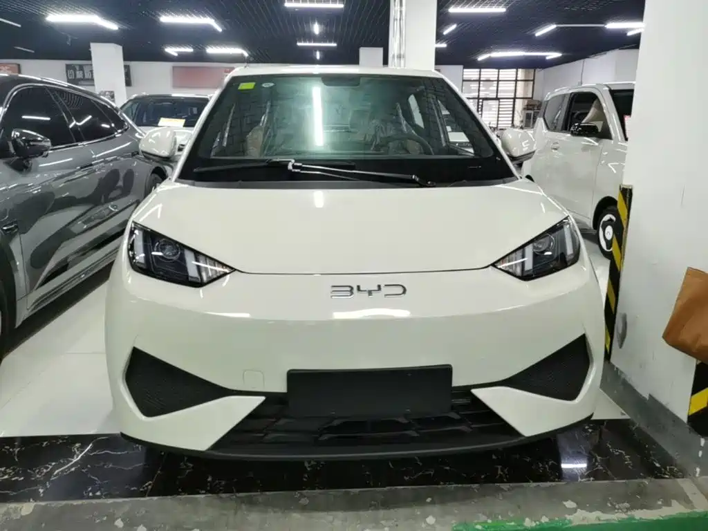 BYD Seagull 2026 2025 Smart Drive Edition 305km Vitality Version
