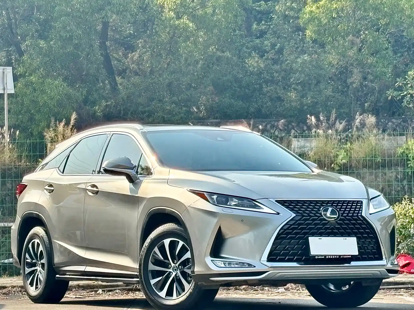 Lexus RX 2020 Facelift 300 2WD Comfort Edition фото 3