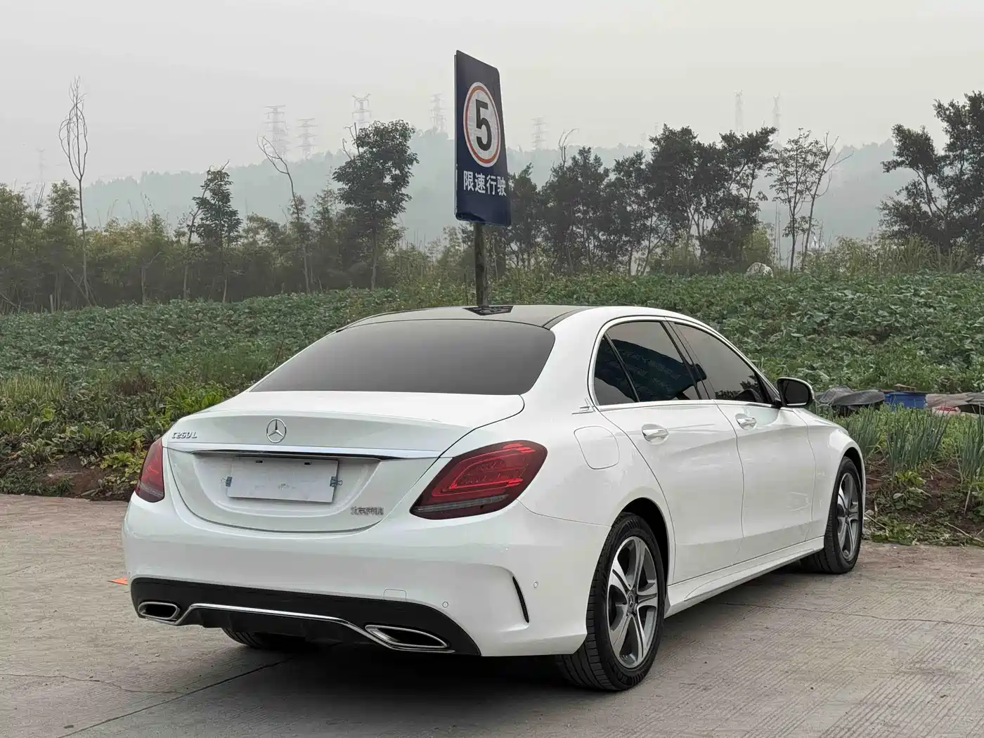 Mercedes-Benz C-Class 2019 C 260 L Sport фото 17