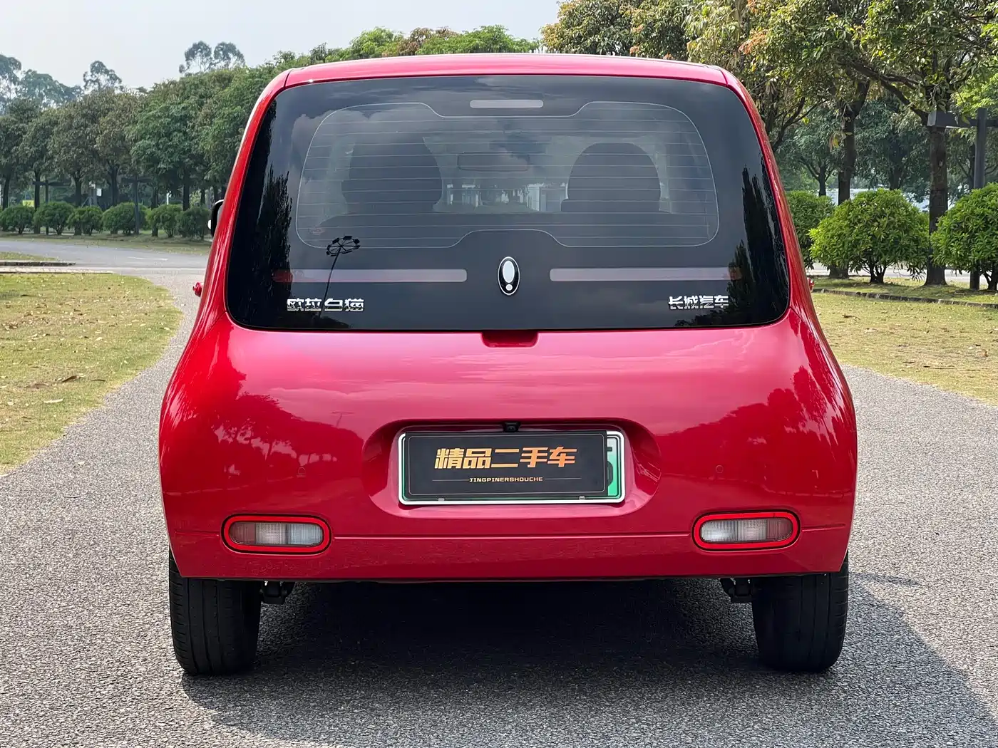 Ora White Cat 2021 2022 Upgraded 305km Luxury (NMC)