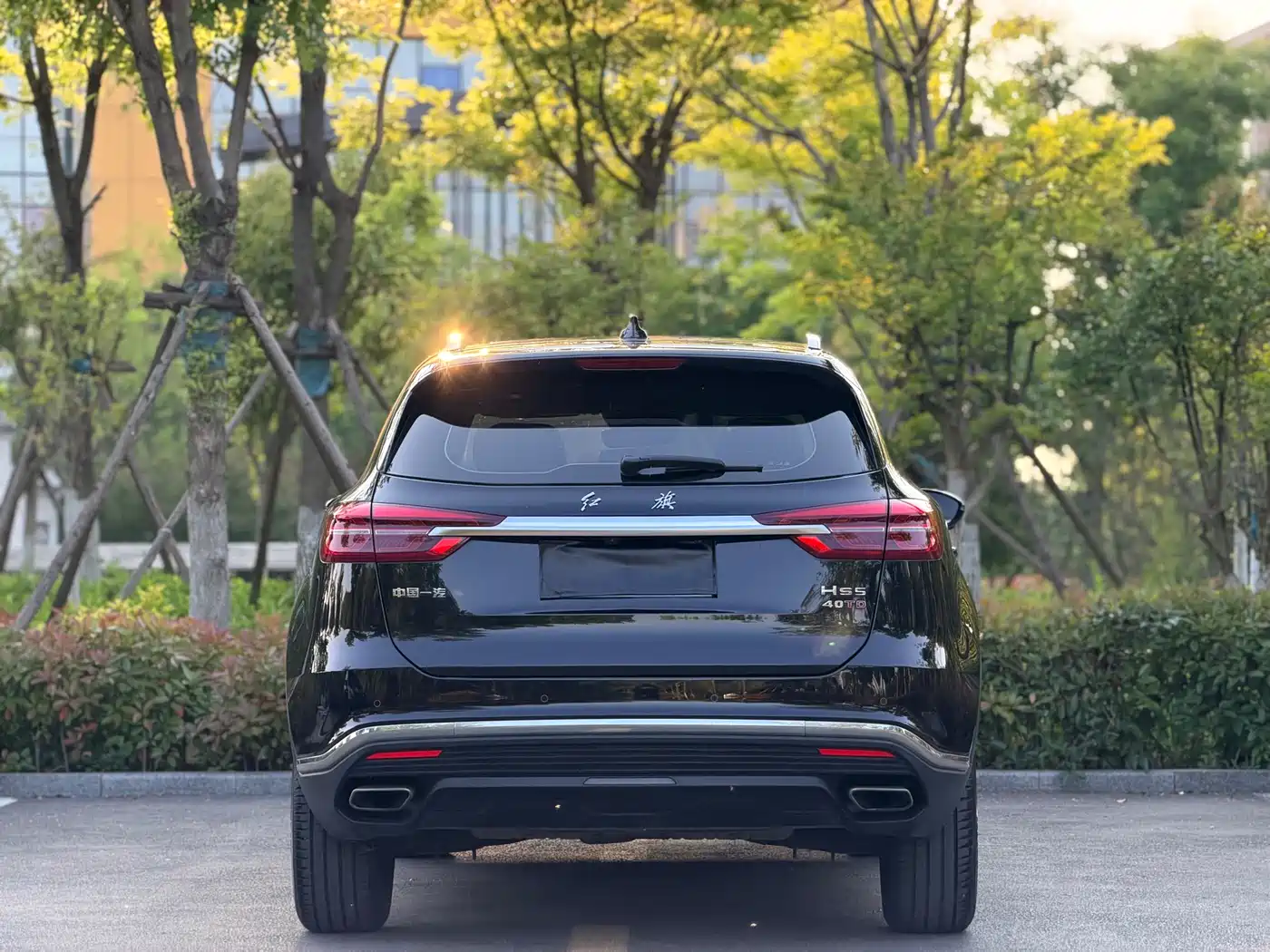 Hongqi HS5 2022 Facelift 2.0T Smart Flag Enjoyment Edition фото 13