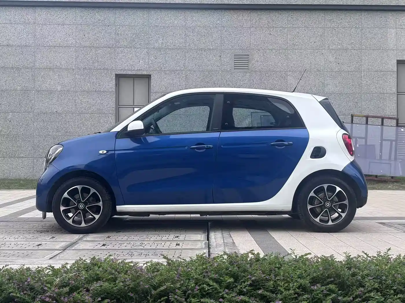 Фото 4 - smart forfour