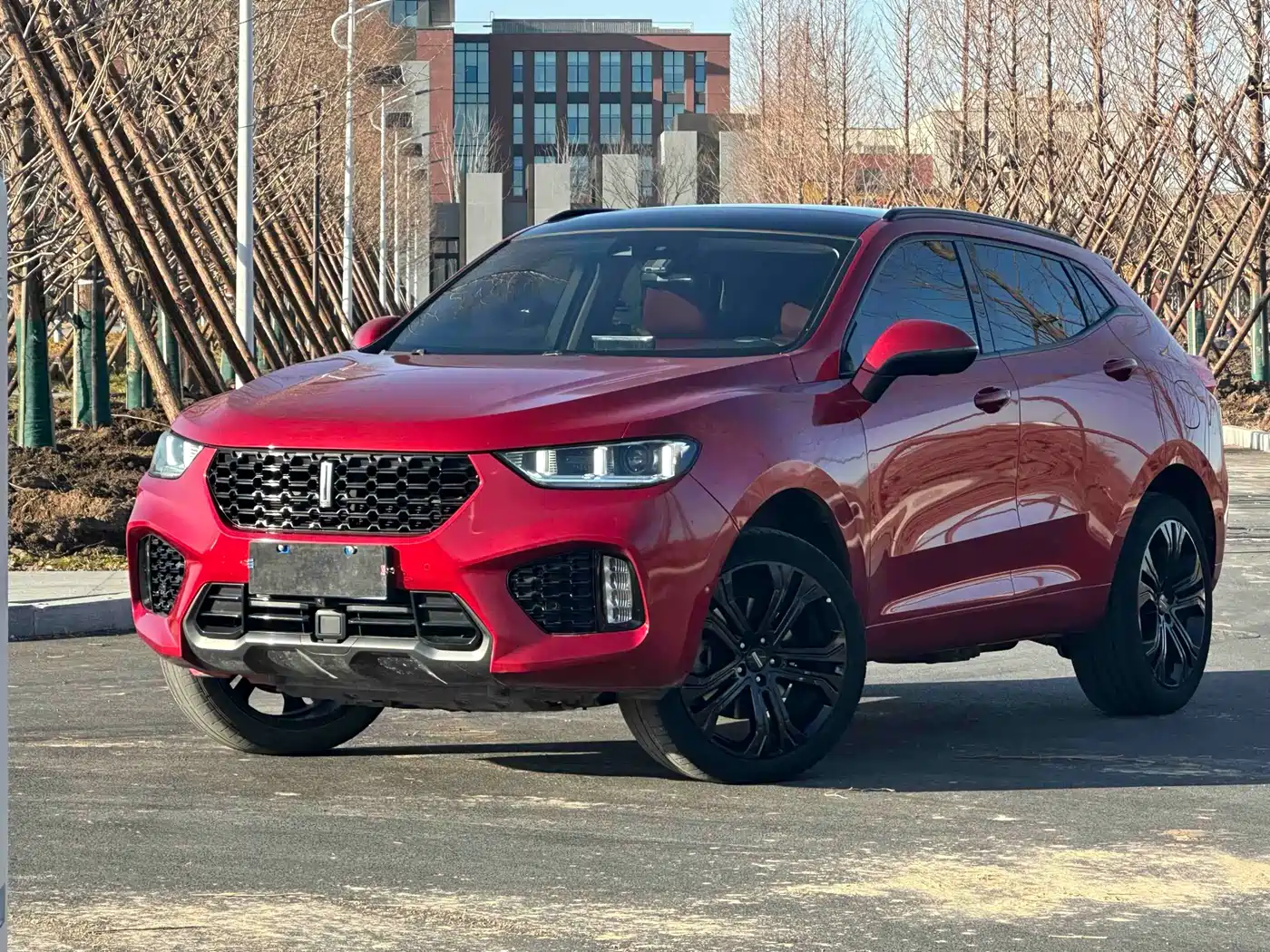 WEI PAI WEI BRAND VV5