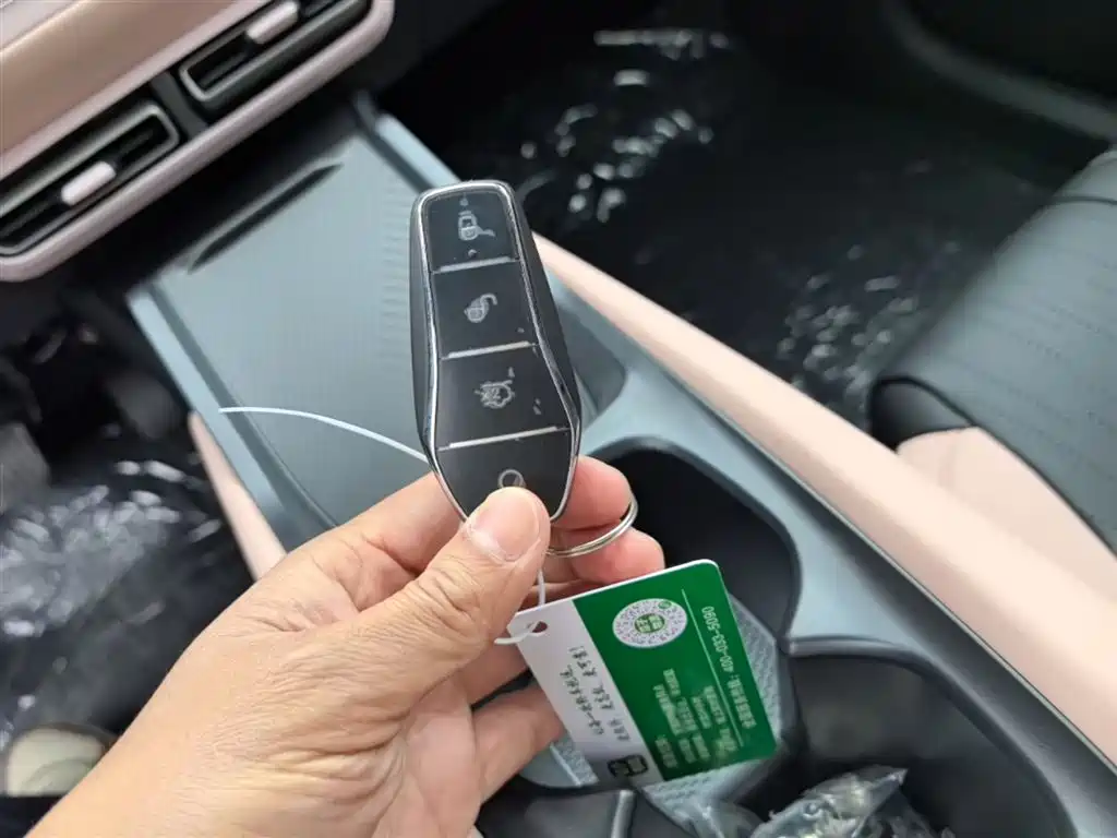 BYD Seagull 2025 Smart Drive Edition 305km Vitality Version фото 9
