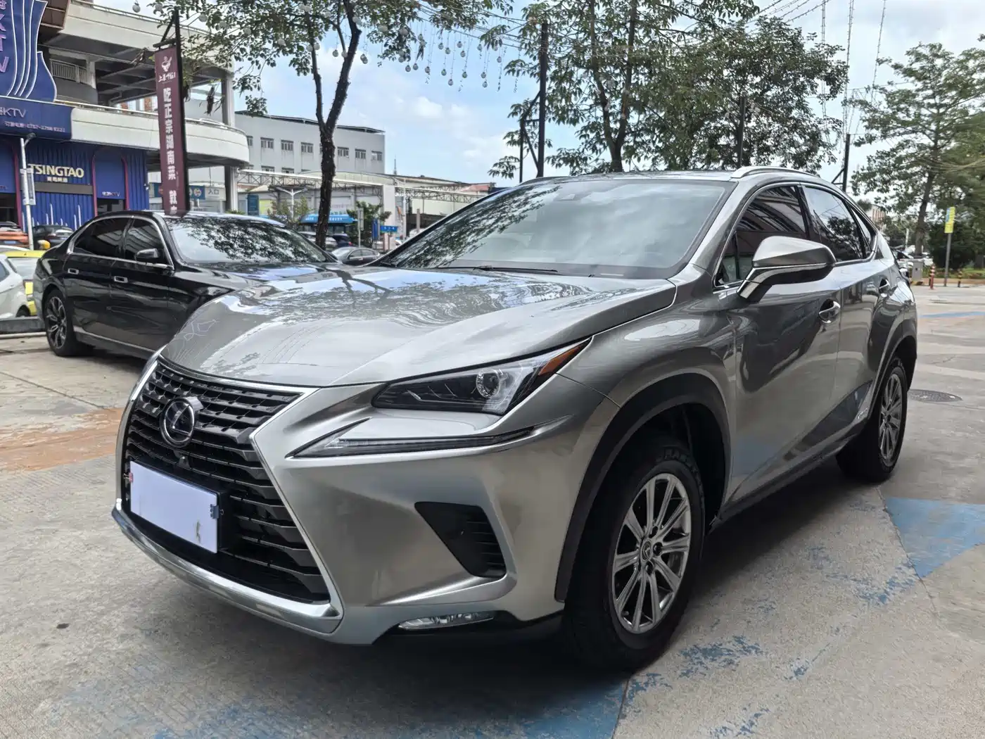 Lexus NX 2020 300h FWD F Sport China V