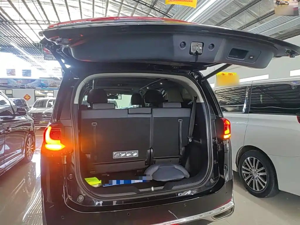 GAC Trumpchi Trumpchi M8 2023 Leading Series 390T Prestige Edition фото 19