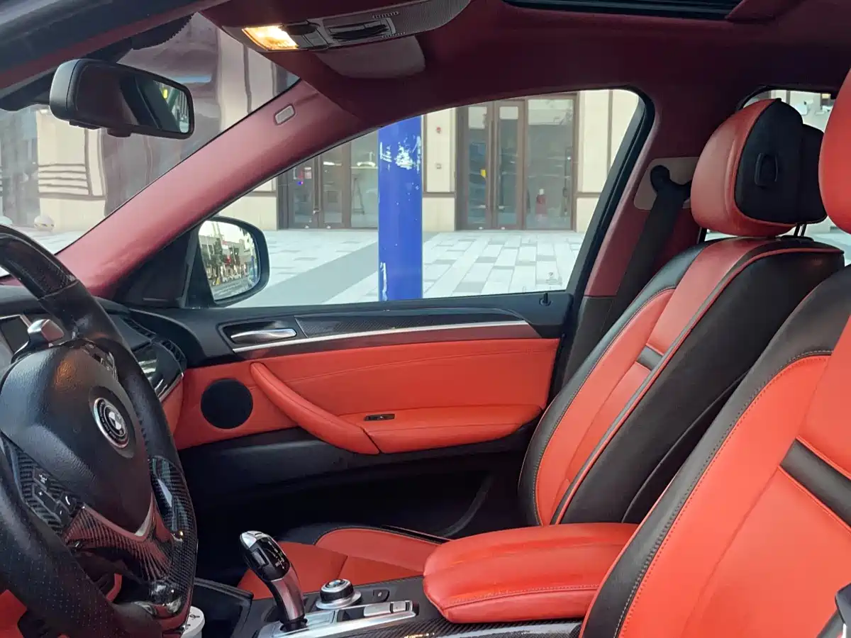 BMW X6 2009 xDrive35i фото 10