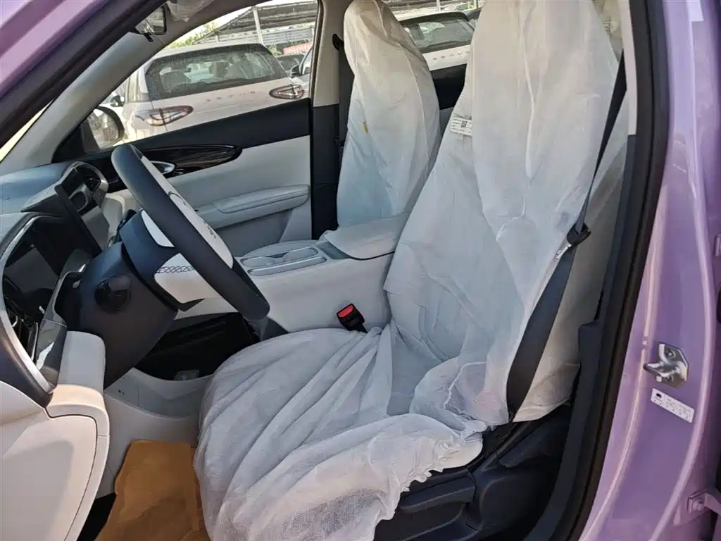 Geely Galaxy Starry Wish 2026 Edition 310km Youth Version фото 15