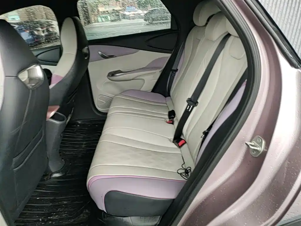BYD Dolphin 2023 420km Freedom Edition фото 17