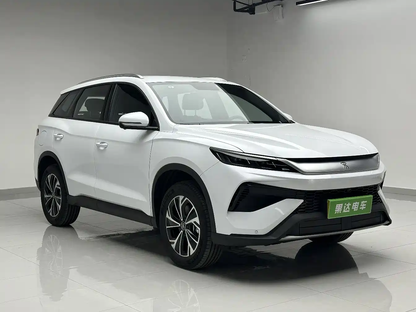 BYD SONGJIANG NEW ENERGY