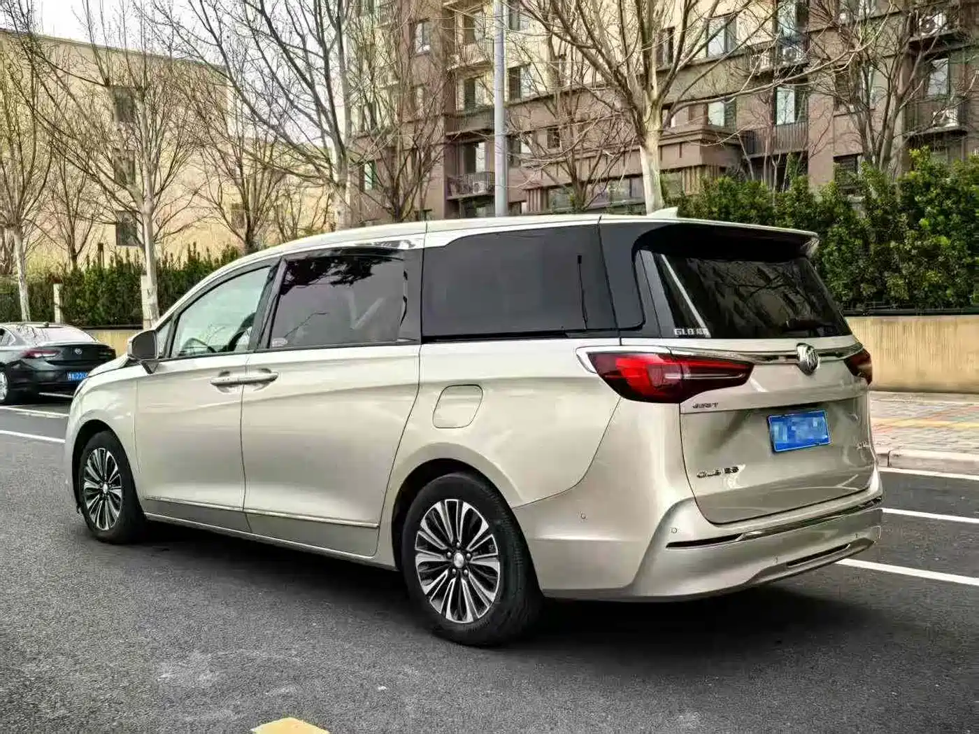 Buick GL8 2021 ES Landlord 653T Luxury фото 7