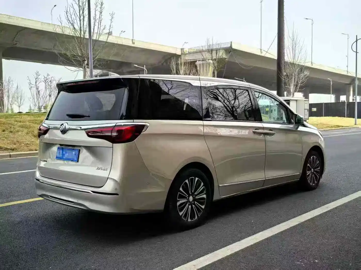 Buick GL8 2021 ES Landlord 653T Luxury фото 9
