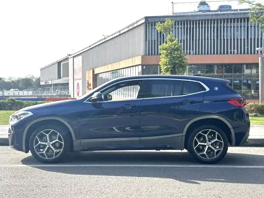 BMW X2 (Import) 2019 sDrive20i M Off-Road Package China VI фото 2