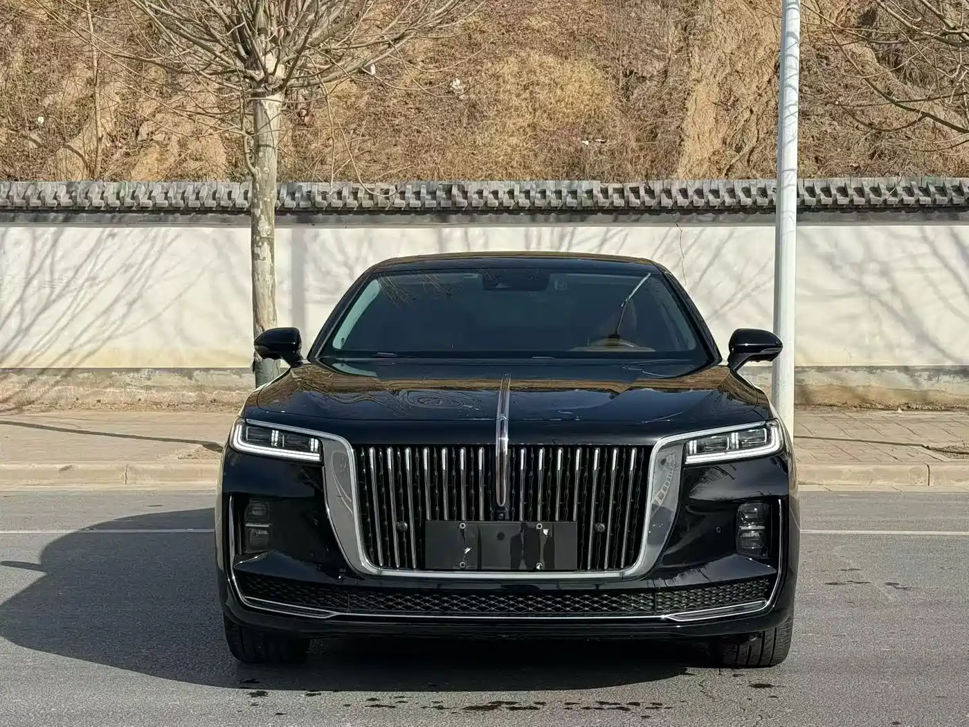 Hongqi H9 2022 2.0T Smart Connect Flag Enjoy Edition фото 2