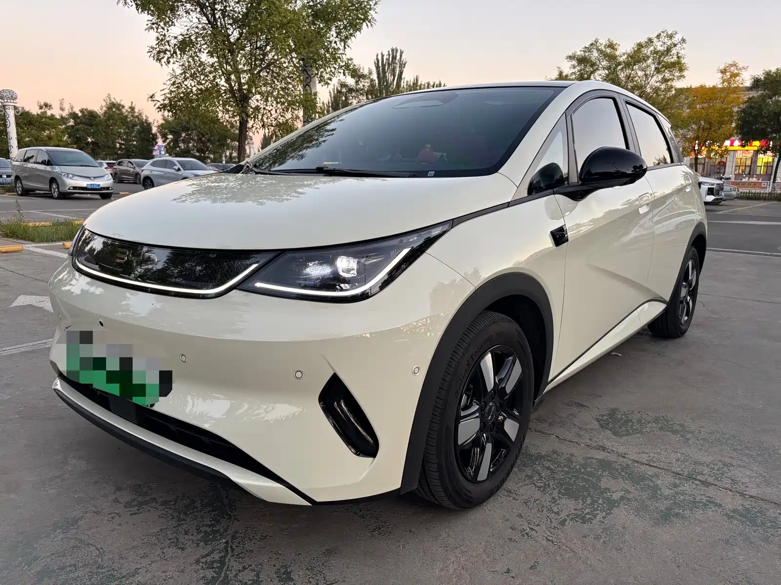 Фото 1 - BYD Dolphin