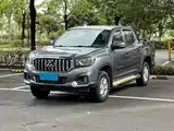 Фото 1 - Maxus Maxus T60