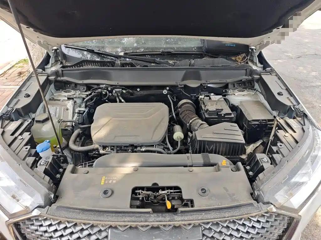 Haval H6 2025 2024 Model 1.5T 2WD Classic Edition