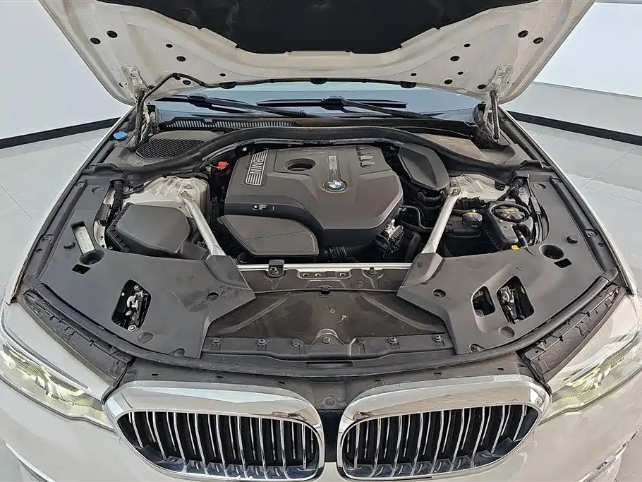 BMW 5 Series 2021 530Li Leading Luxury Package фото 10