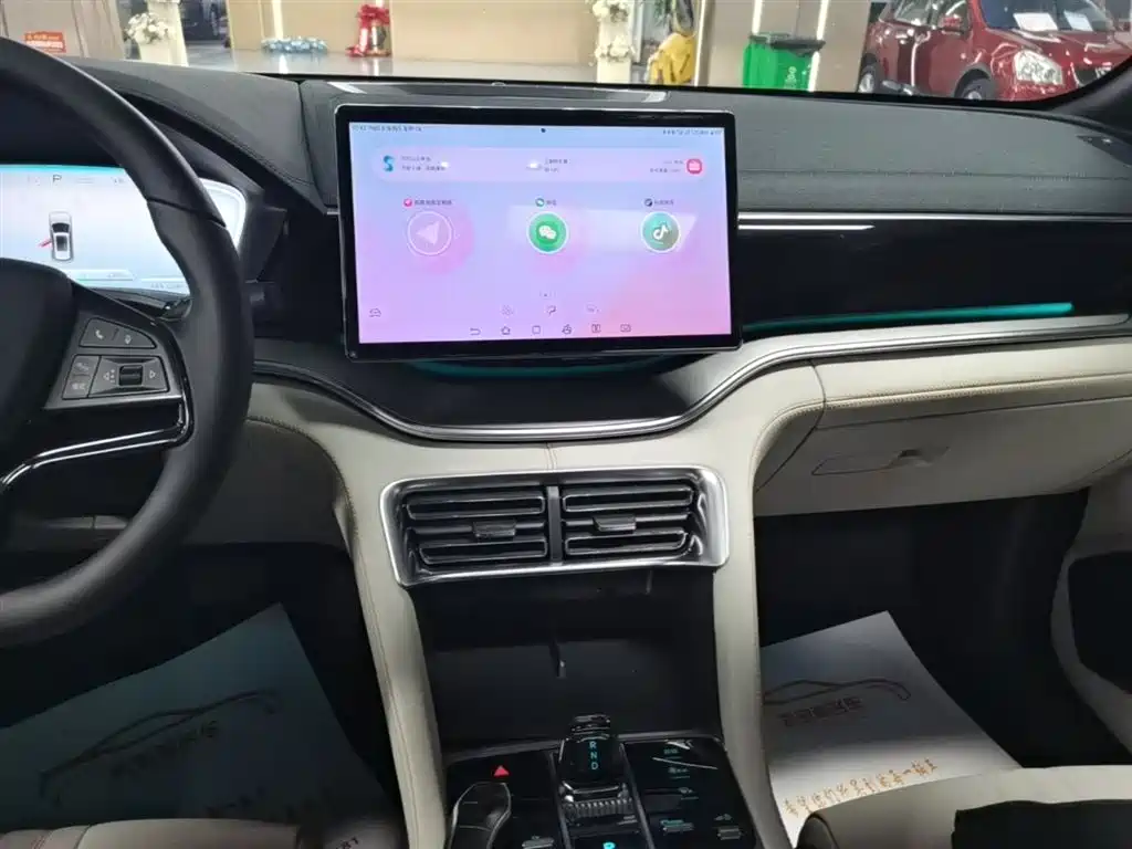 BYD Song PLUS PHEV 2023 Champion Edition DM-i 110KM Flagship фото 13