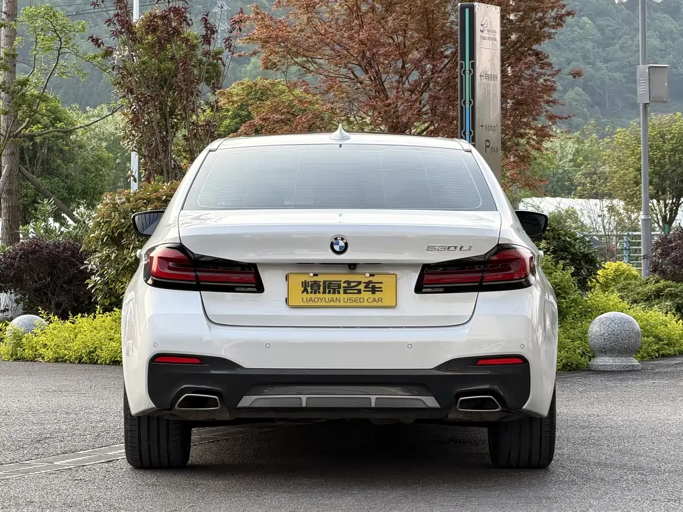 BMW 5 Series 2021 530Li Leading M Sport Package фото 5