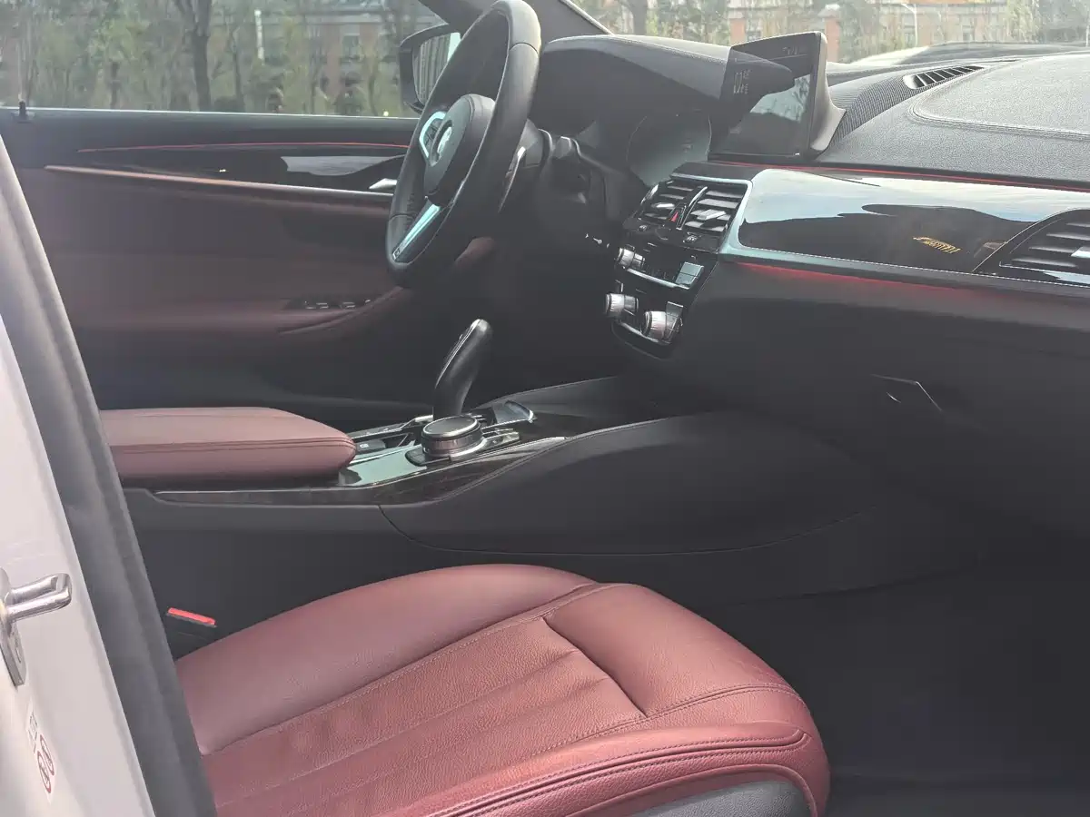 BMW 5 Series 2020 530Li Leading M Sport Package фото 13